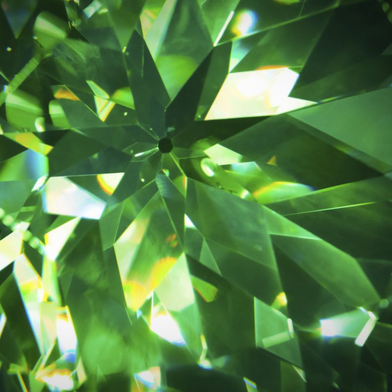 Emerald at Crystal Hills Organics