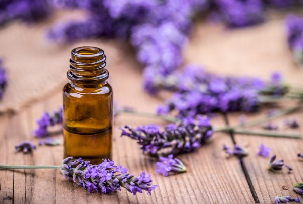 lavender and essential oils