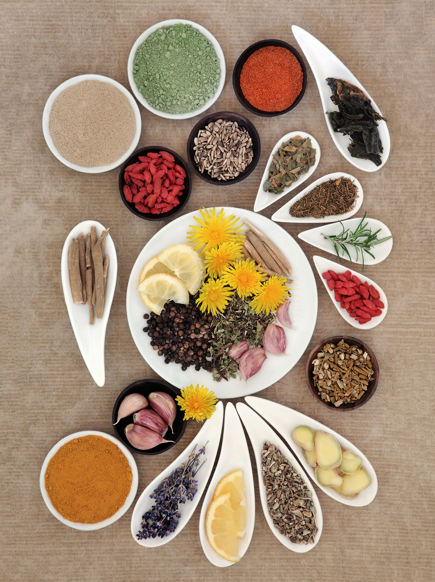 Immune Boosting Herbs