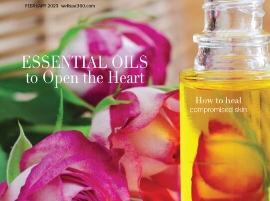 WellSpa 360 Magazine features Andrea Barone from Crystal Hills Organics