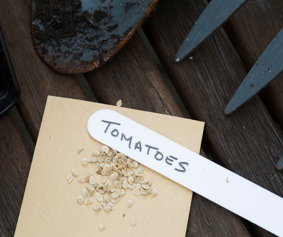 Mastering Indoor Seed Starting: A Guide to Preparing for Spring Planting